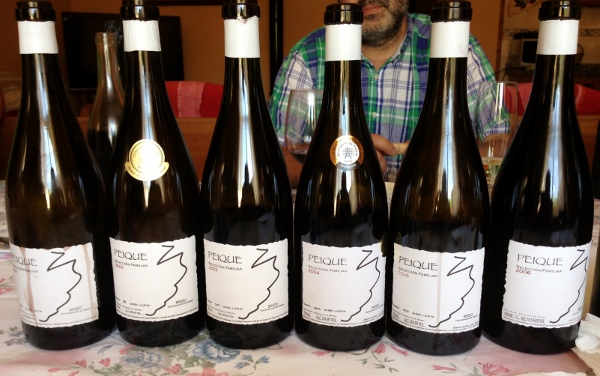 Visita_bodegas_Peique_Vertical_Selección_Especial